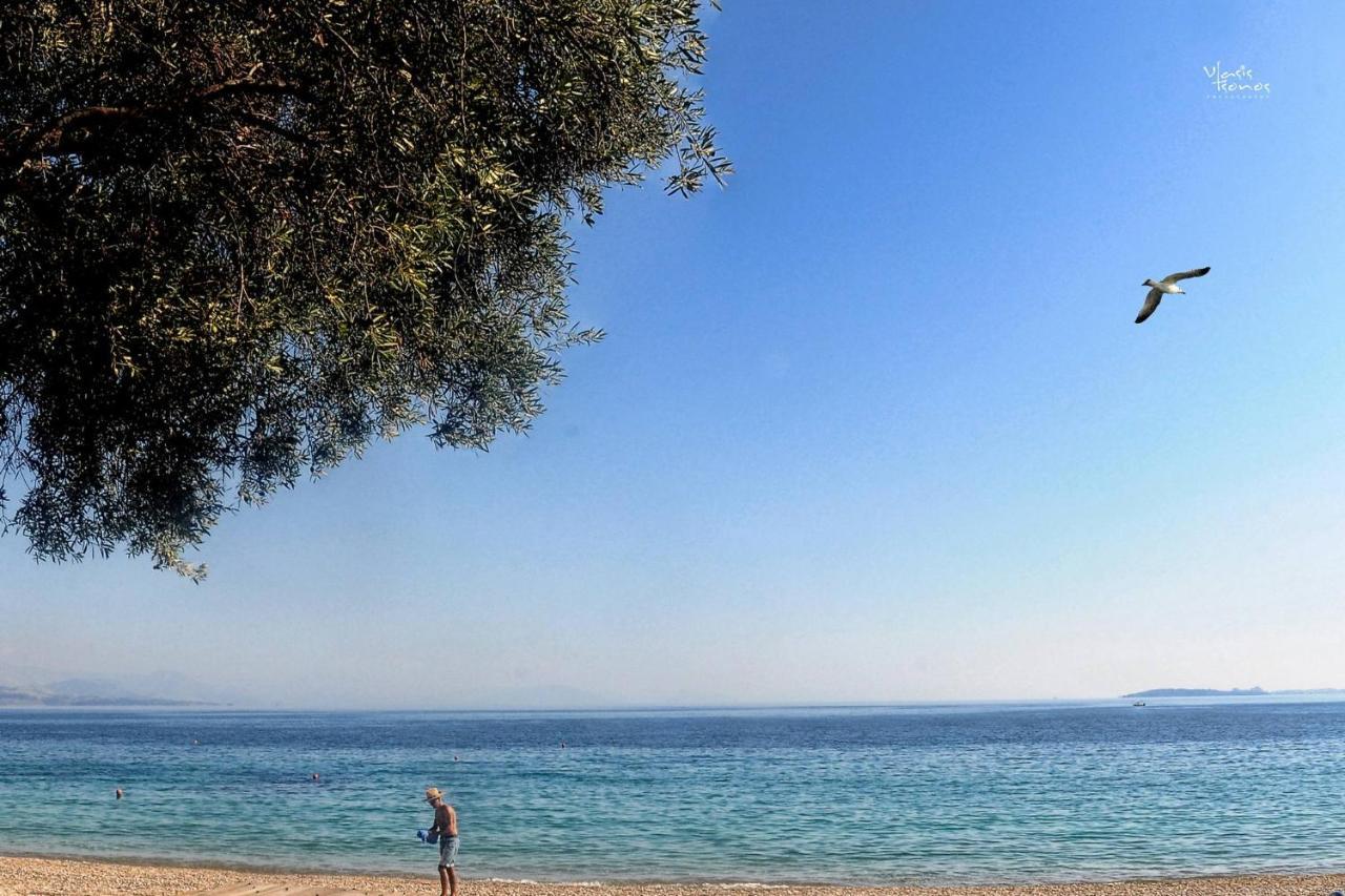Boundos By The Beach برباتي المظهر الخارجي الصورة